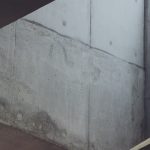 mold illness